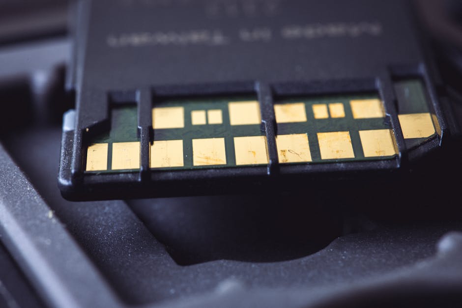 SD カード コネクタ ピンの詳細なマクロ ショット。テクノロジーと電子機器を強調表示します。
